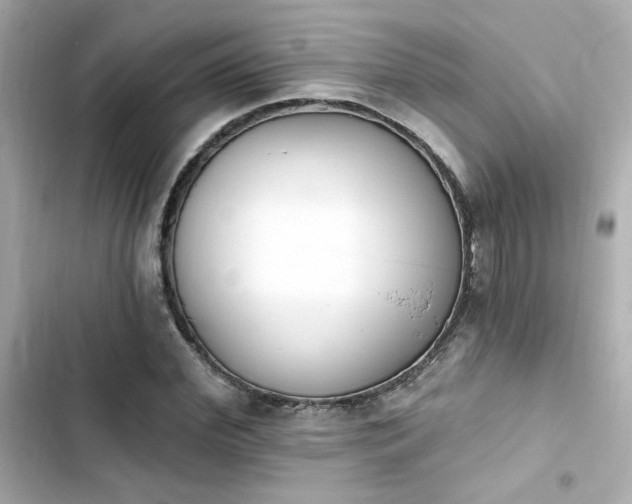 X0000103930972200809191346