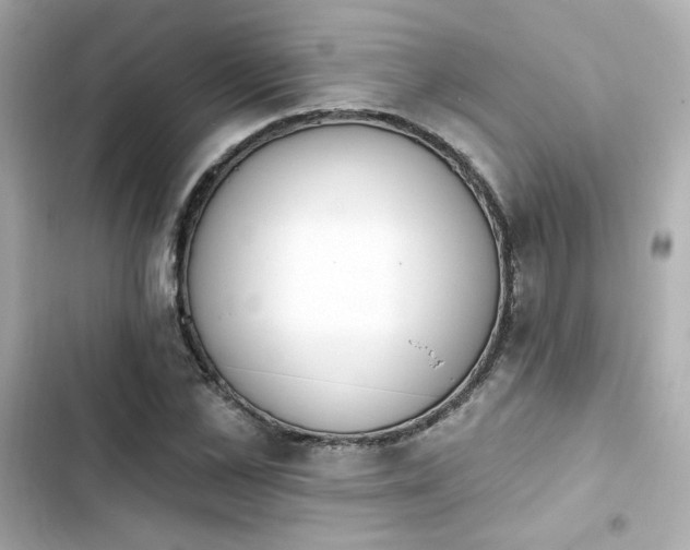 X0000103930973200809191346