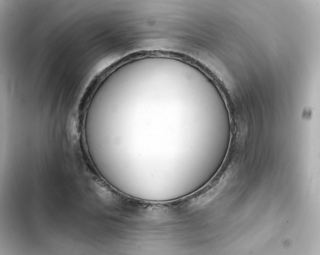 X0000103930974200809191346