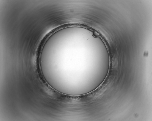 X0000103930975200809191346