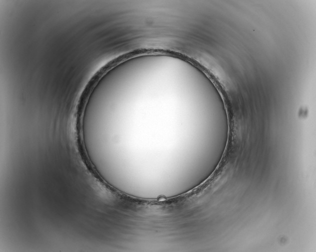 X0000103930976200809191346
