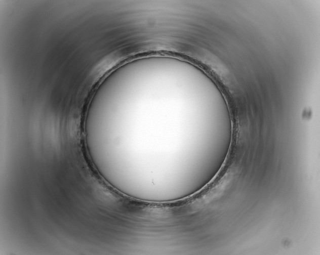 X0000103930977200809191346