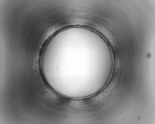 X0000103930978200809191346