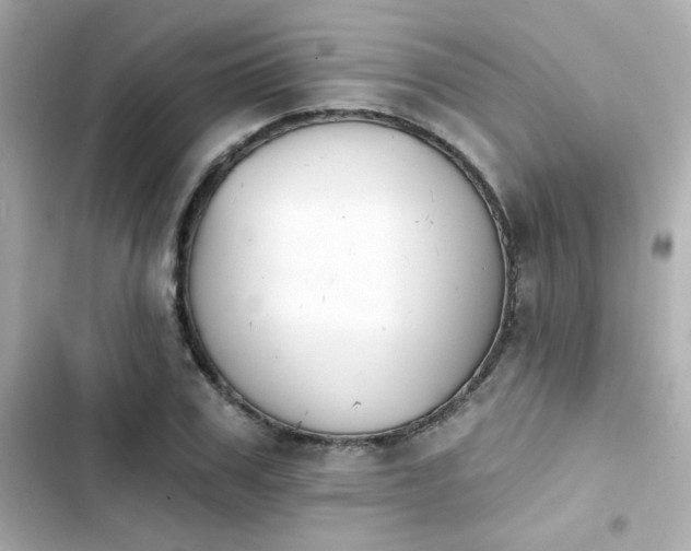 X0000103930979200809191346