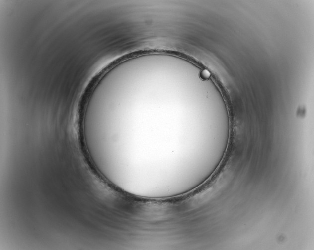 X0000103930981200809191346