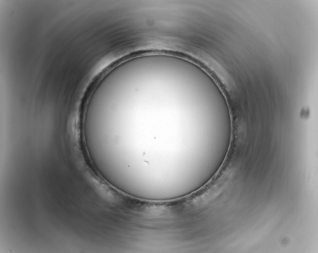 X0000103930982200809191346