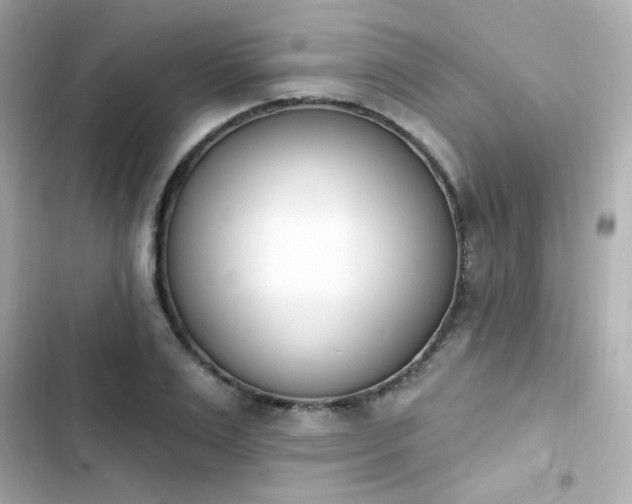 X0000103930983200809191346