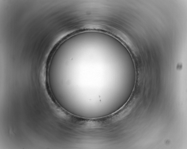 X0000103930984200809191346