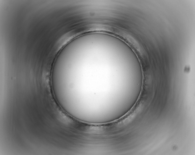 X0000103930985200809191346