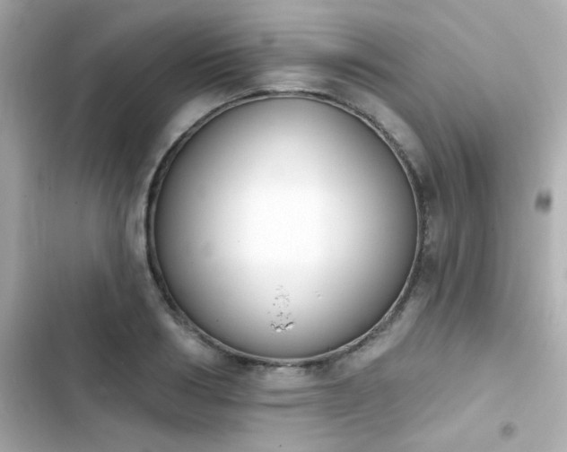 X0000103930986200809191346