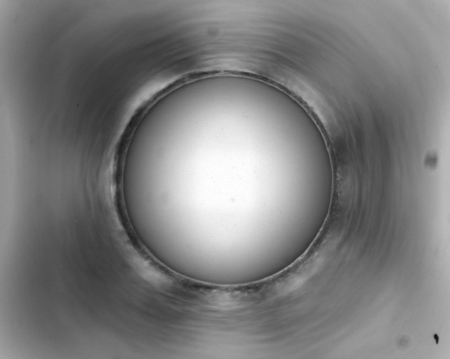 X0000103930987200809191346