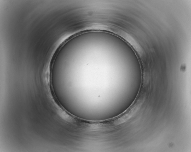 X0000103930988200809191346