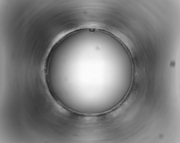 X0000103930989200809191346