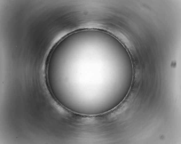 X0000103930990200809191346