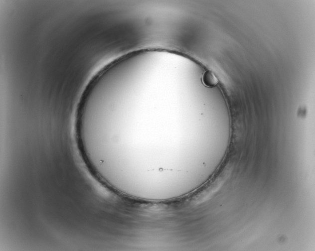 X0000103930991200809191346