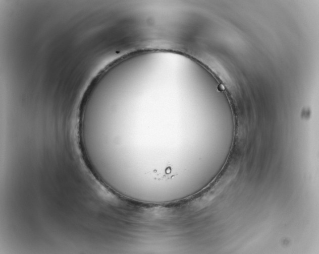 X0000103930992200809191346