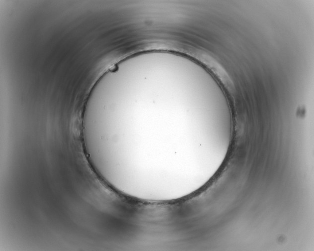 X0000103930993200809191346