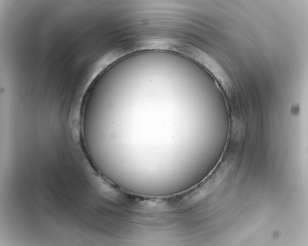 X0000103930994200809191346