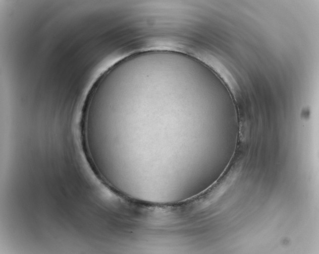 X0000103930995200809191346