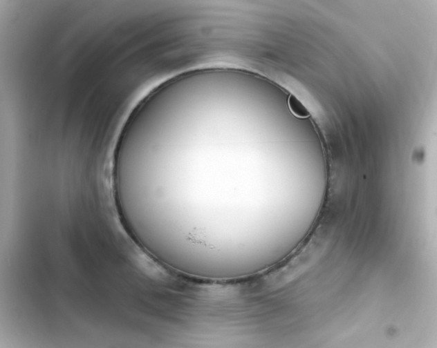 X0000103930996200809191346