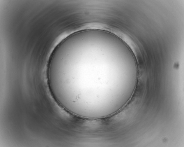 X0000103930997200809191346