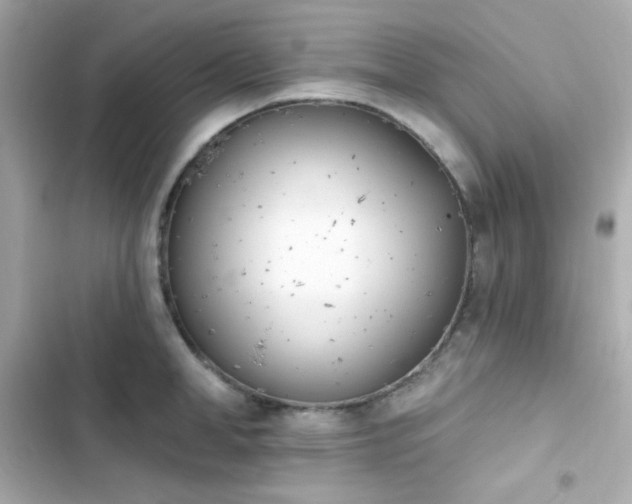 X0000103930998200809191346
