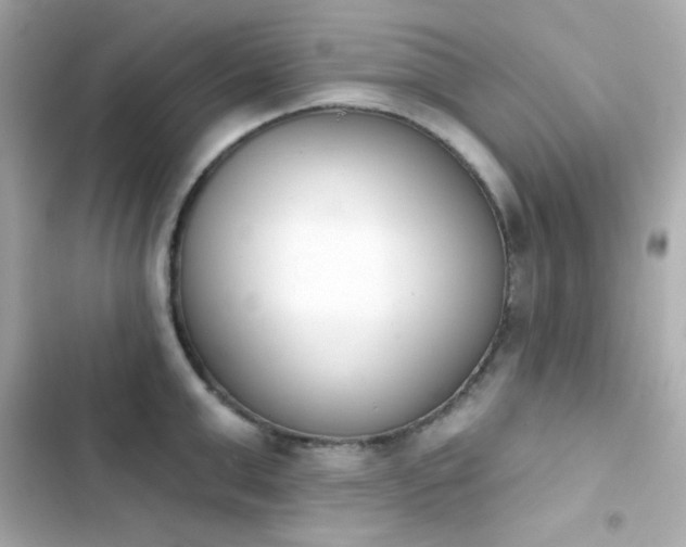X0000103930999200809191346