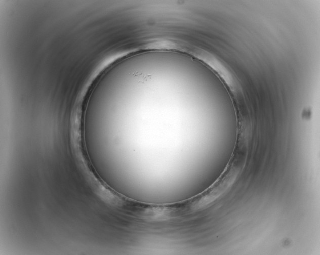 X0000103931000200809191346