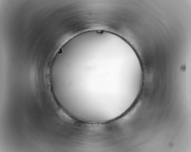 X0000103931001200809191346