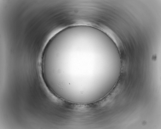 X0000103931003200809191346