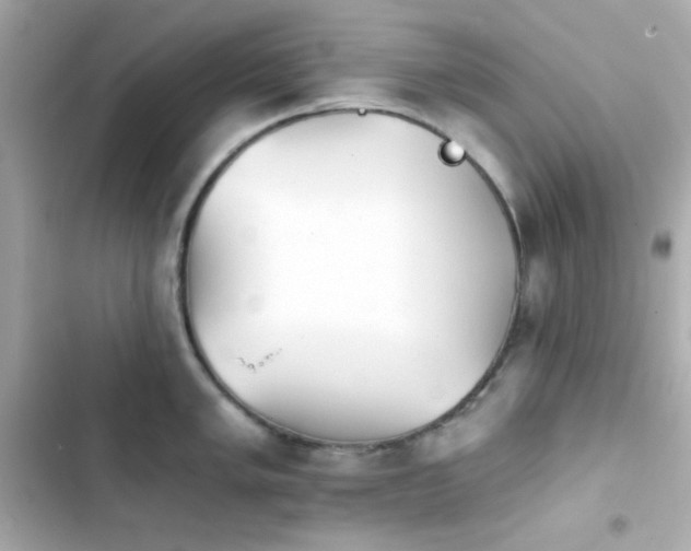 X0000103931005200809191346