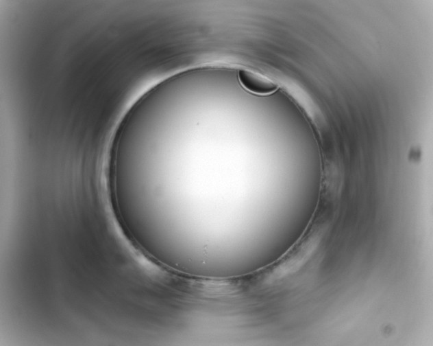 X0000103931007200809191346