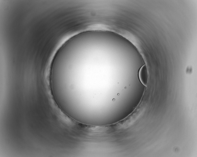 X0000103931008200809191346