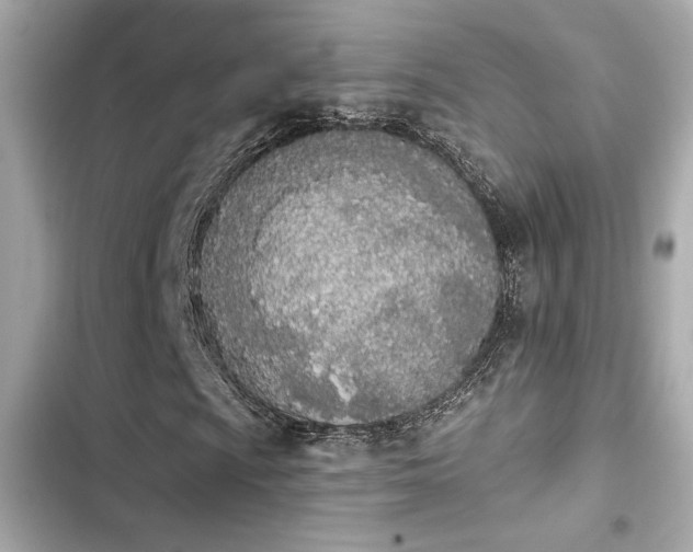 X0000103931009200809191345