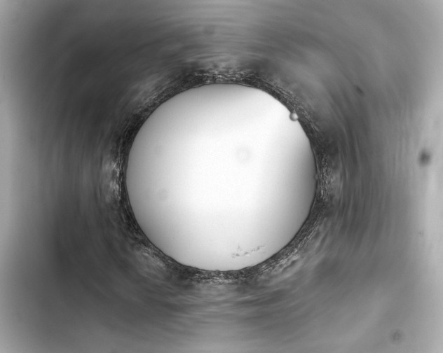 X0000103931010200809191345