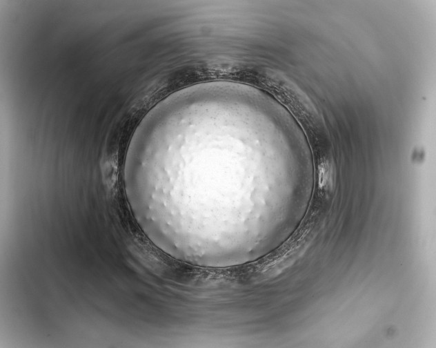 X0000103931011200809191345