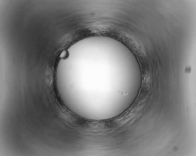 X0000103931012200809191345