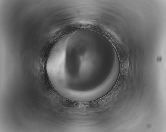 X0000103931013200809191345