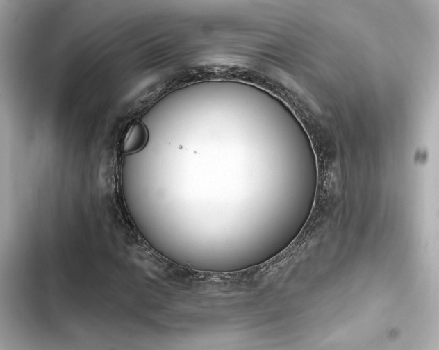 X0000103931014200809191345
