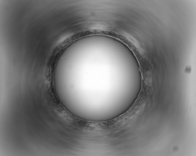 X0000103931015200809191345