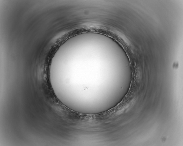 X0000103931016200809191345