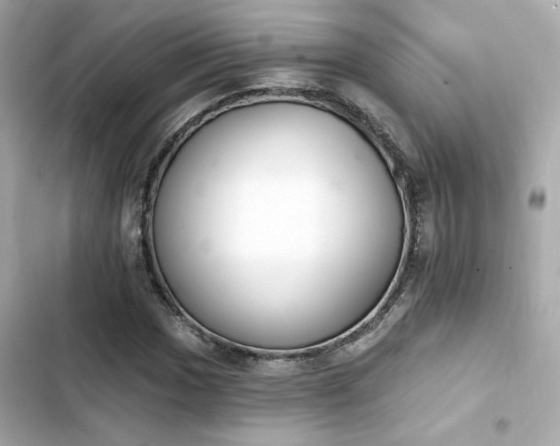 X0000103931017200809191345