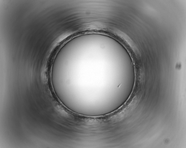 X0000103931018200809191345