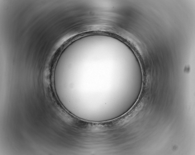 X0000103931019200809191345