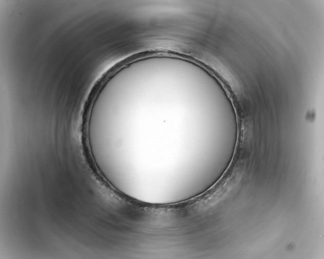 X0000103931020200809191345