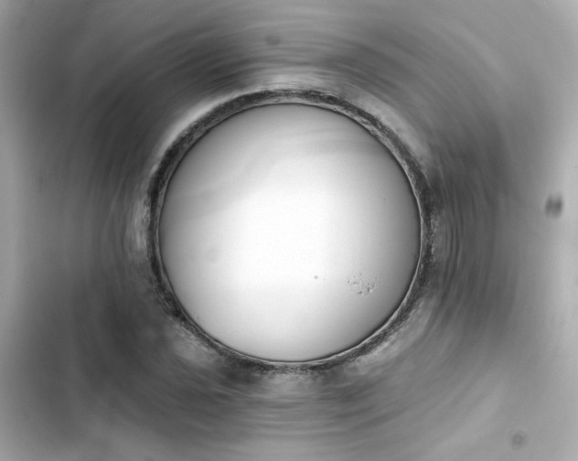 X0000103931021200809191345