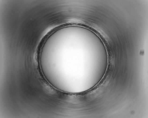 X0000103931022200809191345