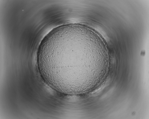 X0000103931023200809191345