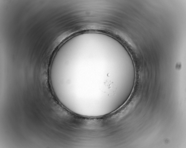 X0000103931025200809191345