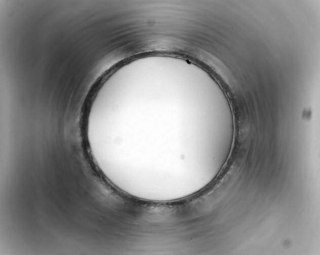 X0000103931026200809191345
